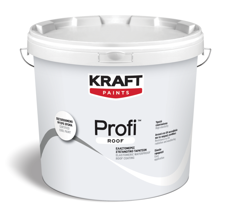 profi-roof-1.png